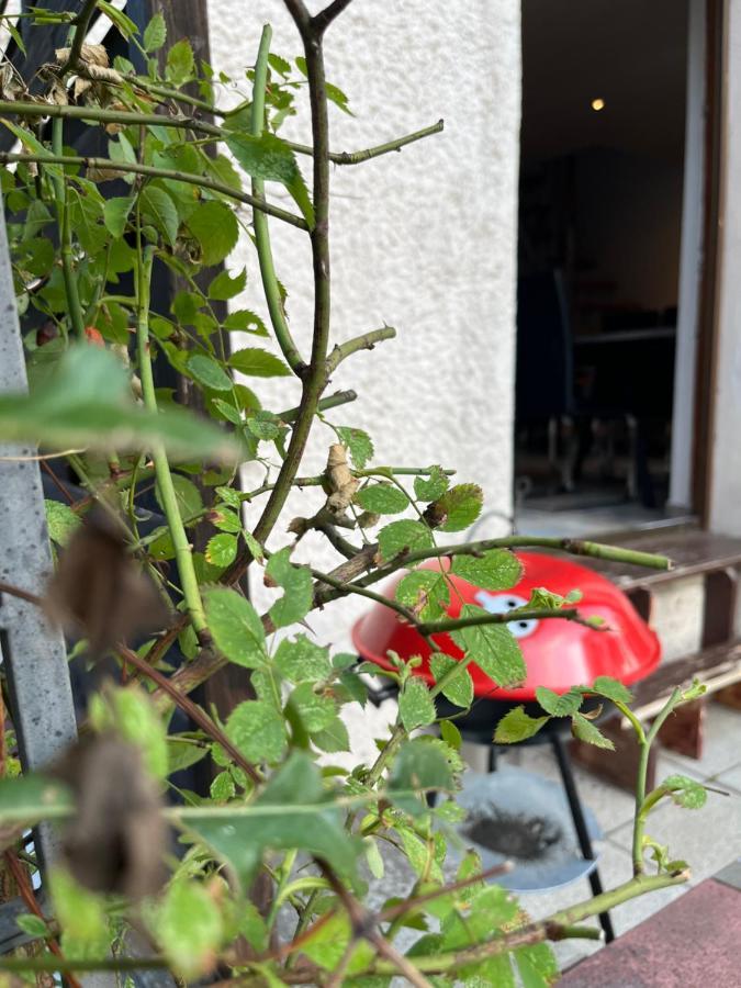 Apartamento Alpina Haus Oberammergau Exterior foto